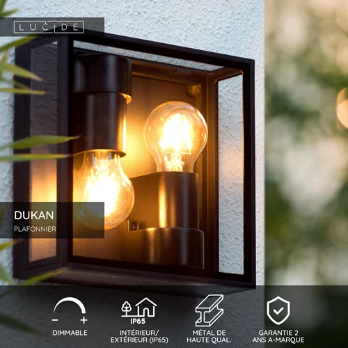 Lucide DUKAN - Plafonnier Intérieur/Extérieur - 2xE27 - IP65 - Noir - USP